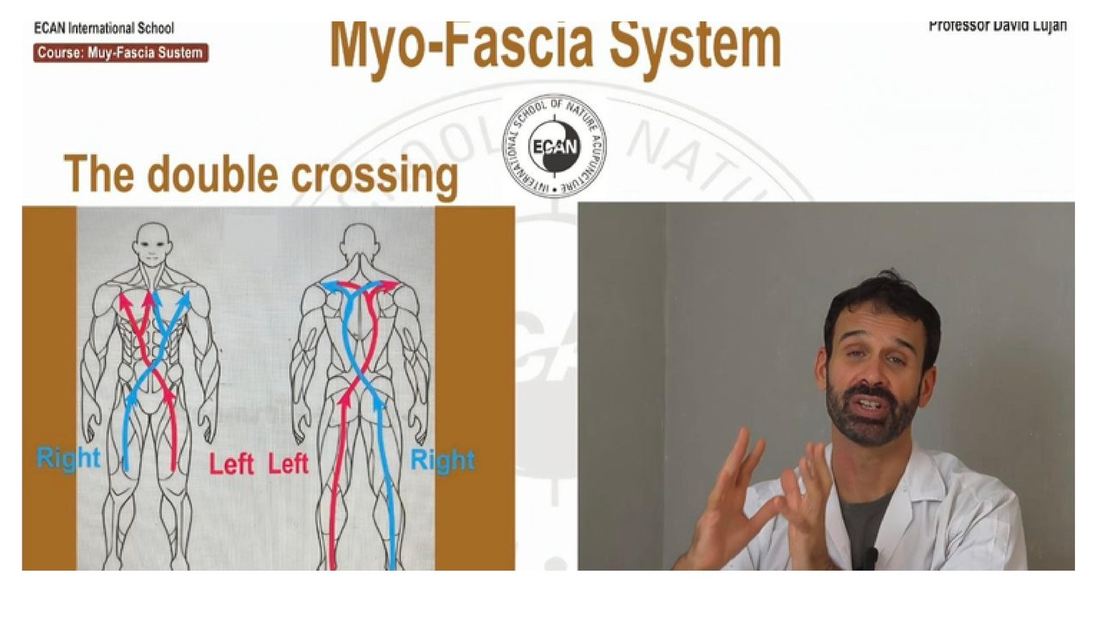 Diagrama del cruce doble de la miofascia usado en el Protocolo Lujan