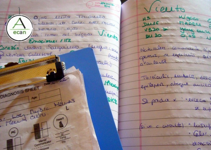 Cuaderno de notas · Acupuntura Natural