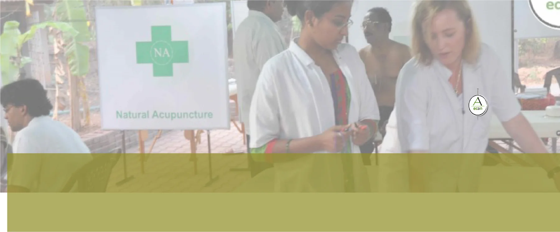ECAN — curso de Acupuntura Natural en Goa, India