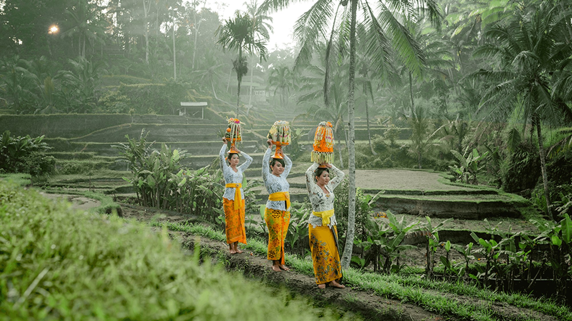 Ofrendas balinesas junto a los arrozales de Ubud
