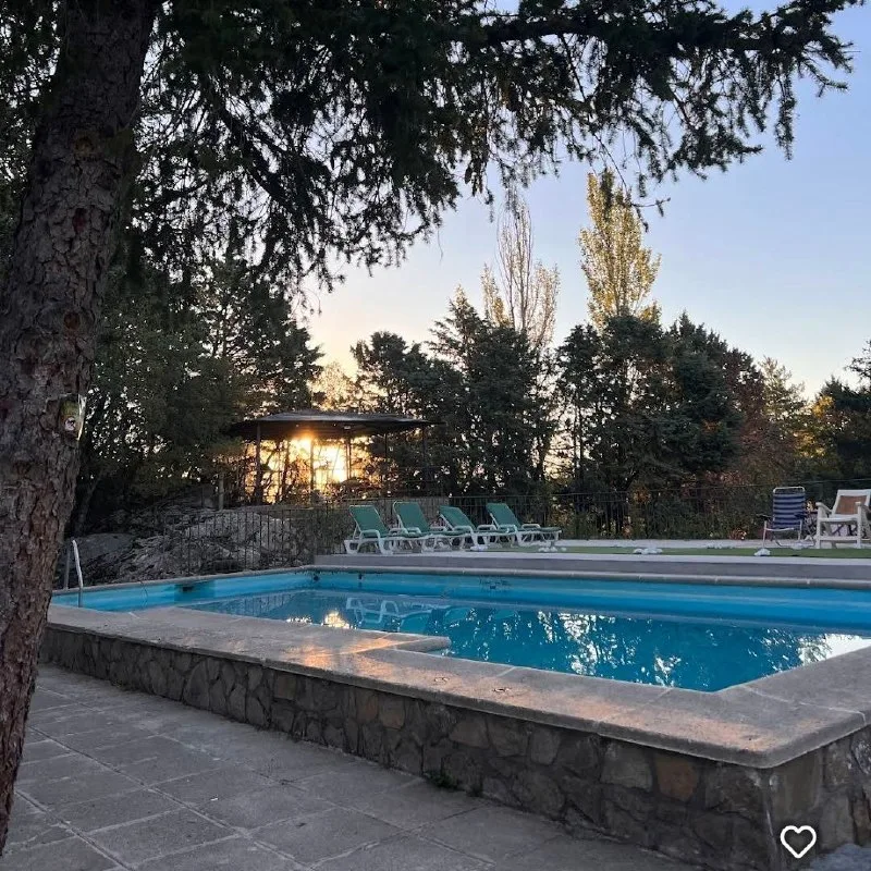 Piscina al atardecer entre árboles