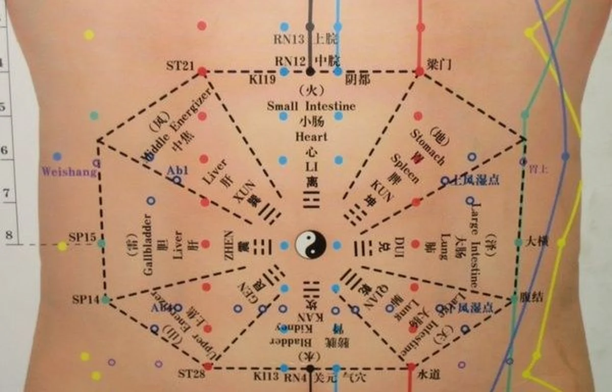 Mapa de la tortuga celestial dibujado en el abdomen